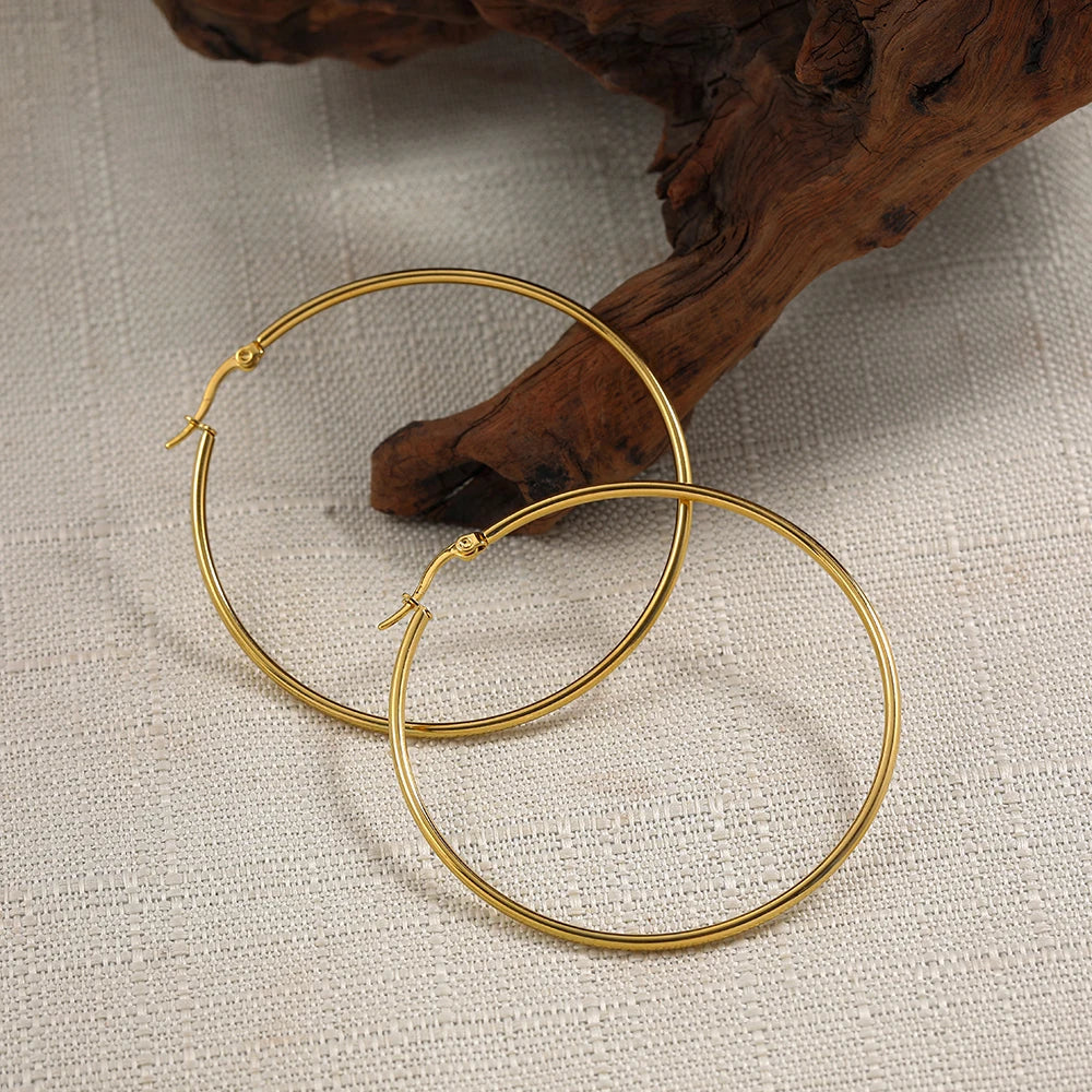 Femlion Gold Thin Circle Hoop Earrings Stainless Steel Trendy Jewelry Accessories