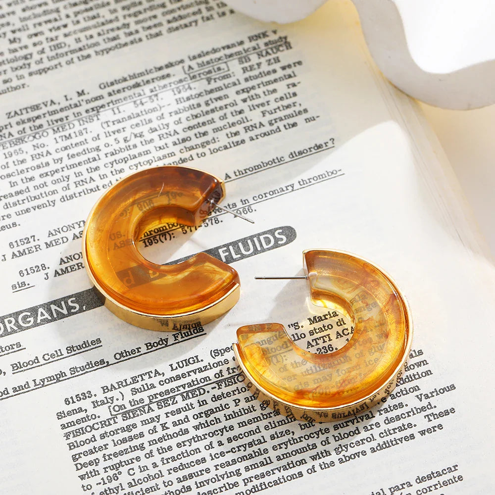 Femlion Round Disc Hoop Earrings Transparent Acrylic Resin Statement Jewelry