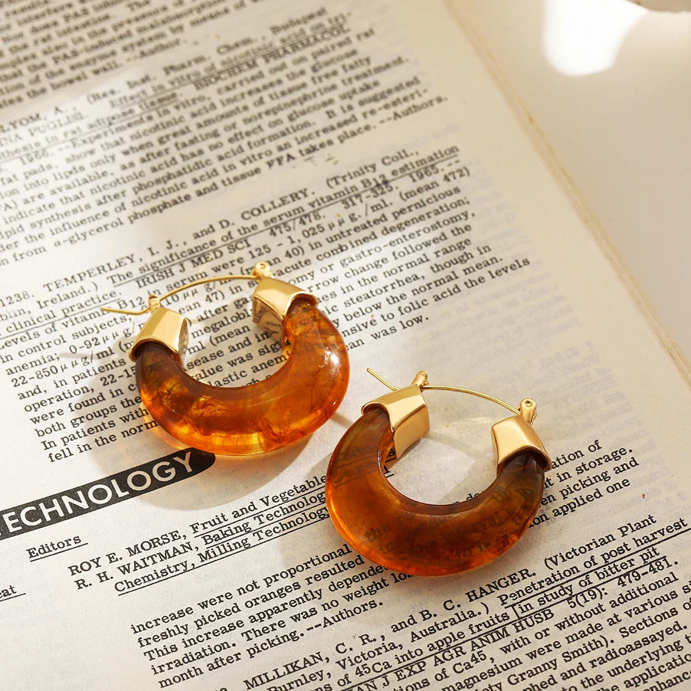 Femlion Brown Resin Hoop Earrings Fashion Statement Jewelry Party Gift