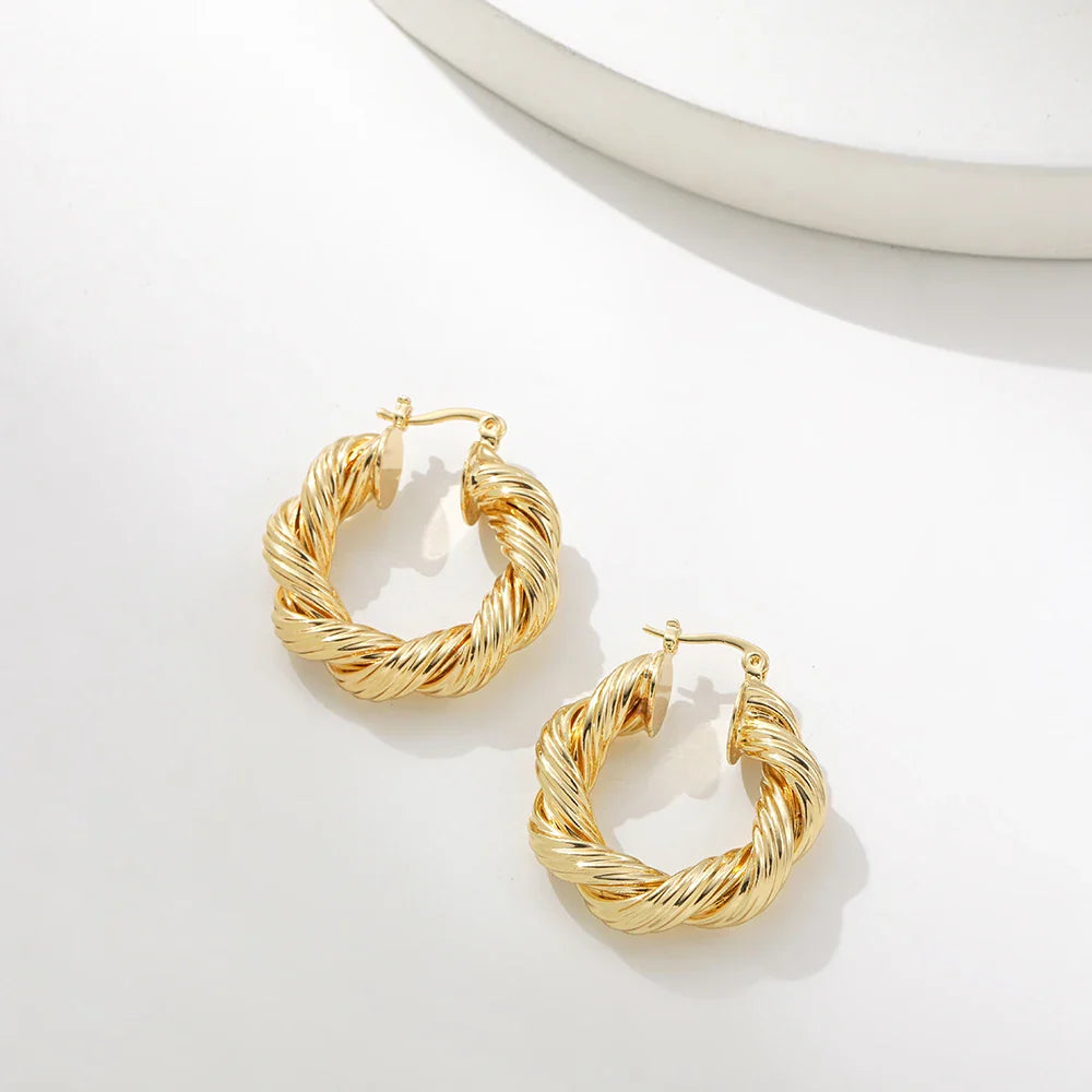 Femlion Punk Rock Twist Hoop Earrings for Women - Geometric Oval Circle Fashion Jewelry