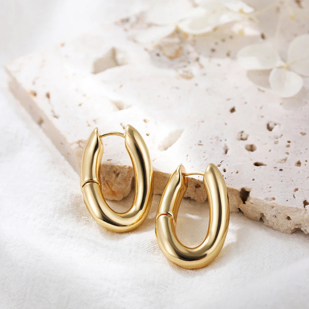 Femlion Chunky Twist Hoop Earrings: Stylish Copper Ear Buckle Huggies - Creative Party Jewelry